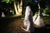 Sous bois 20 * 5184 x 3456 * (7.03MB)